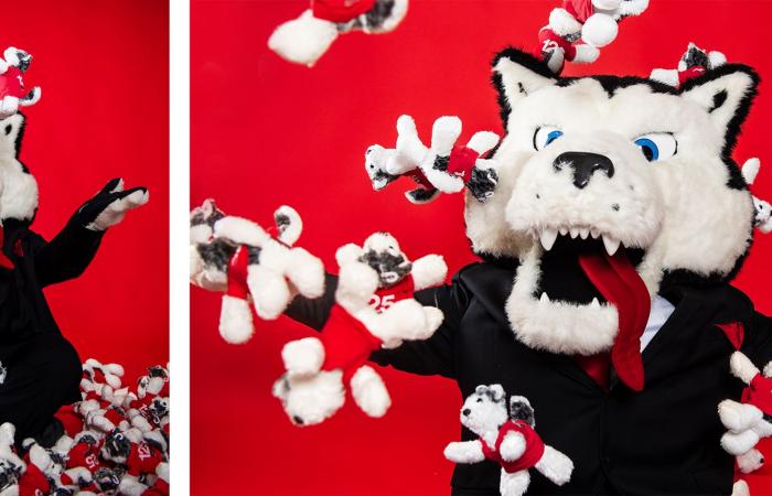 Photos: Paws, art installations and NU vs. Boston Red Sox