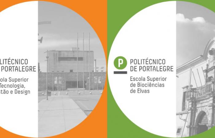 Polytechnic of Portalegre changes the name of two schools to boost the institution’s growth