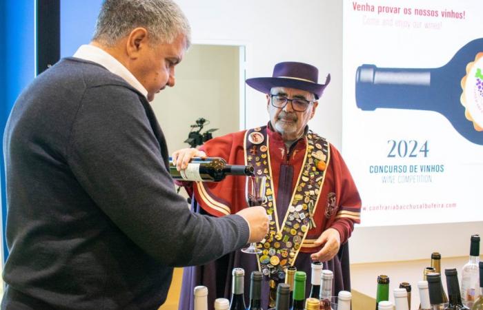 Great Portuguese Wine Show returns to Albufeira in April