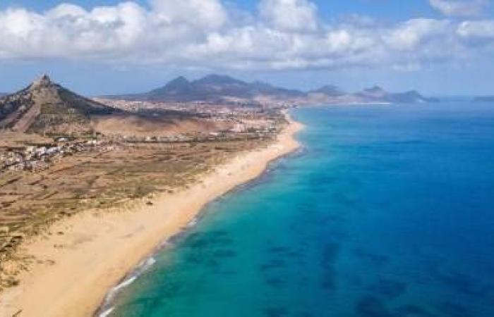 Sargasso collection on Porto Santo beach must be carried out in accordance with the Law