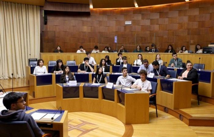 High school “deputies” elected to the national session of the Youth Parliament | Funchal News | Madeira News – Information for everyone for everyone!