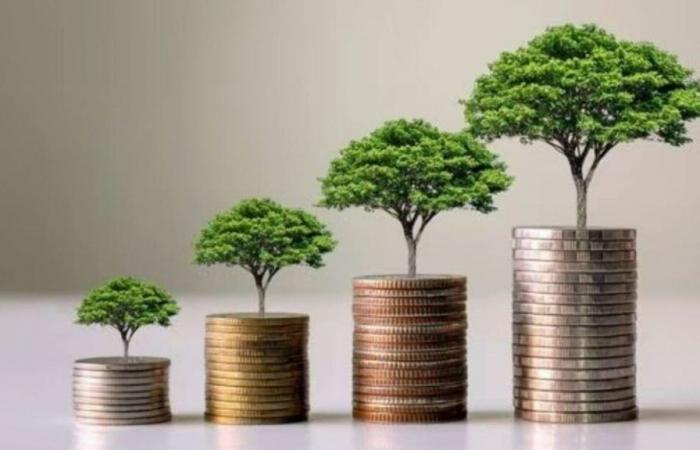 SBI vs Bank of Baroda green fixed deposits (FDs): Check tenure, interest rate, and other details here