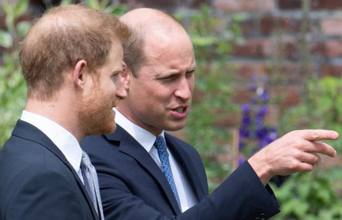 In the middle of a crisis situation, William will ‘reunite’ with his brother Harry