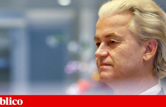 Dutch far-right leader Geert Wilders gives up as head of Government | Netherlands