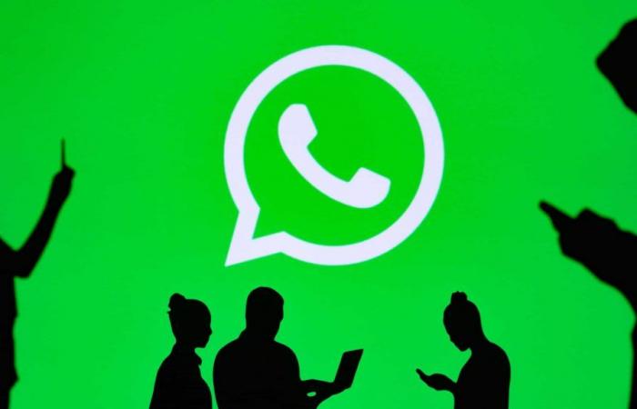 New WhatsApp will help you protect yourself from scams