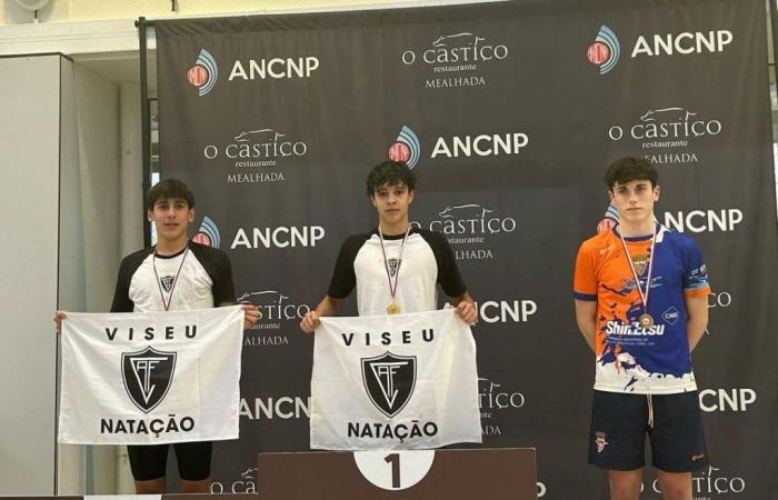 Viseu academic wins seven gold medals in the Regional Swimming Championship
