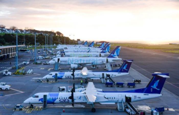 High Flight of Satisfaction: Azores Airlines elected Top of the Skies in the 2023 high season in the Azores