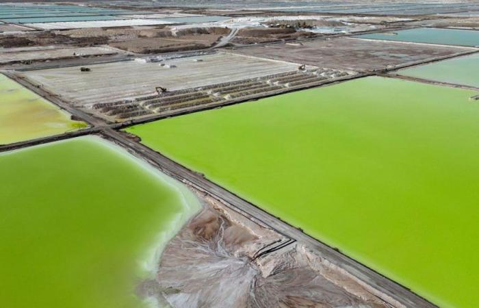 Clean energy vs clean water: Lithium mining sucks the life blood out of local communities
