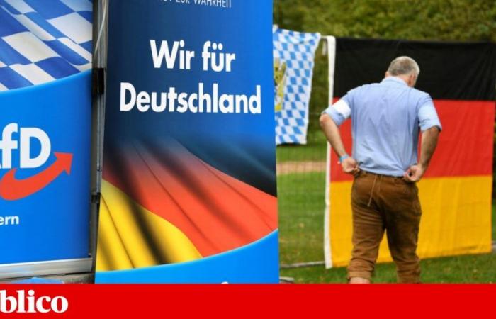 More than a hundred extremists working for the AfD in the German Parliament | Germany