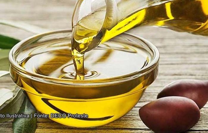 Cnema once again hosts national olive oil competition