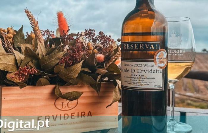 Conde D’Ervideira White Wine 2022 awarded gold in international competition