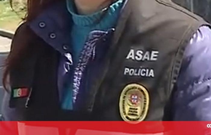 ASAE seizes 915 kilograms of products of animal origin in an establishment in Vila Real – Portugal