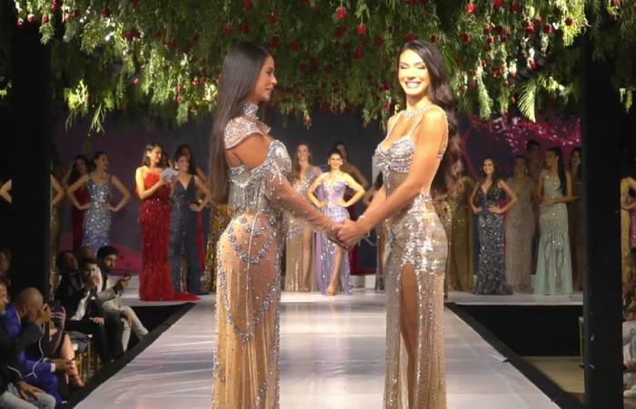 Miss Universe: Portuguese-Brazilian model, Daniela Oliveira wins in MG and goes to Miss Brazil