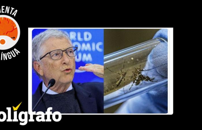 “Genetically edited mosquitoes”. Is the program financed by Bill Gates responsible for the dengue outbreak in Brazil?