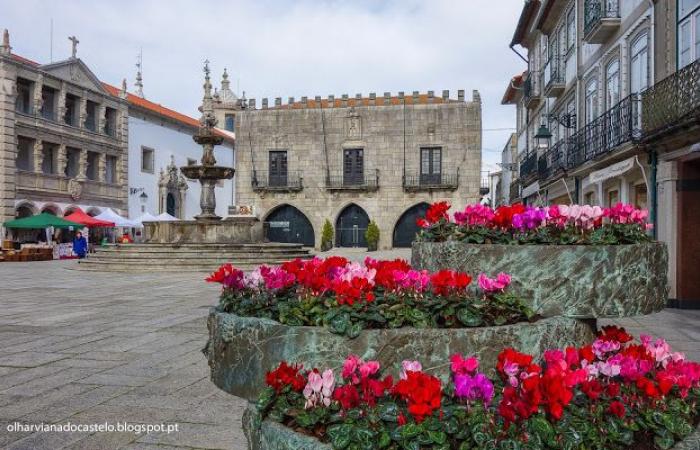 Viana do Castelo Chamber joins the Resilient Cities Network: Gazeta Rural