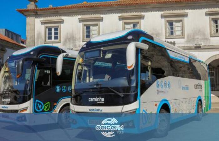 Two electric buses reinforce Caminha’s fleet