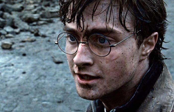 Harry Potter actress reinforces position regarding adult fans of the saga