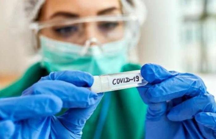 National research will evaluate the consequences of covid-19 in Petrolina and three other cities in Pernambuco