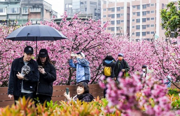 Taiwan gains ground as destination to learn Mandarin, Society News