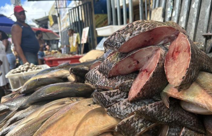 Holy Week: what is the price of fish at markets in Salvador?