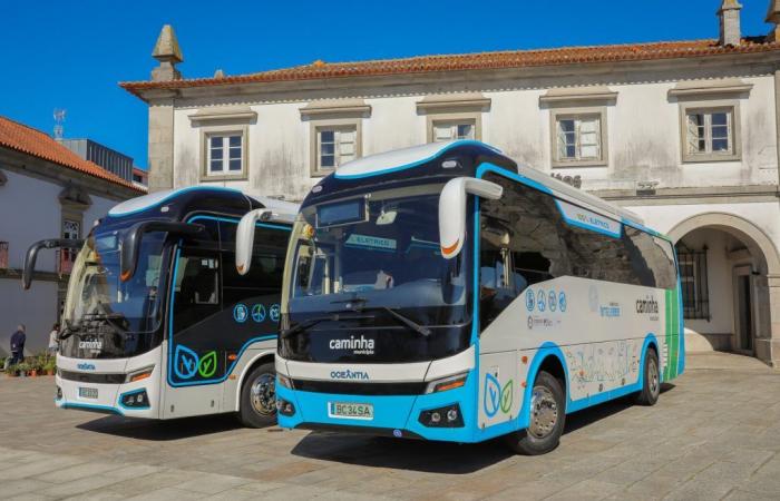 Two electric buses reinforce the municipal fleet in a more ecological and sustainable option