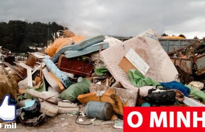 Cabeceiras de Basto collects 24 tons of waste from illegal dumps