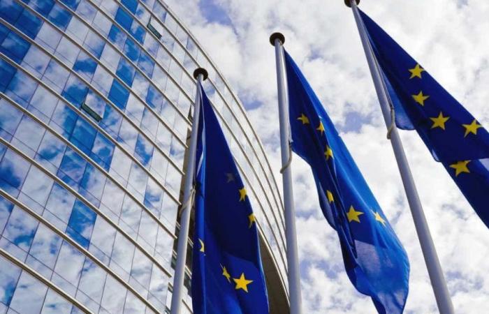 Eastern flank of the EU calls for the implementation of enlargement to Ukraine
