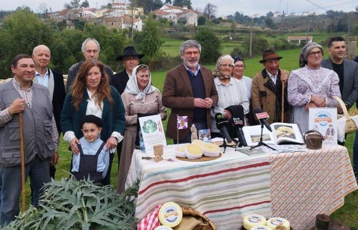 Oliveira do Hospital expects 50 thousand visitors at the Serra da Estrela Cheese Festival