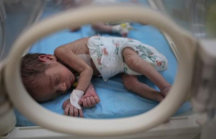 The number of newborns on the verge of death in Gaza increases, says WHO