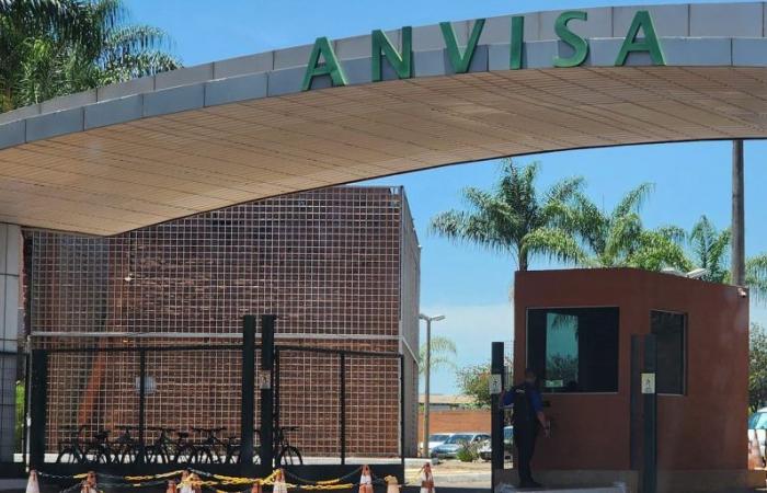 Anvisa postpones decision on commercialization of dengue self-tests