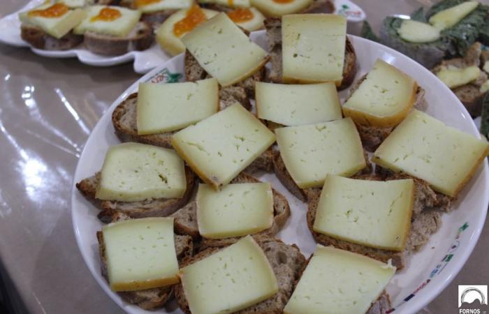 Fornos de Algodres promotes Serra da Estrela Cheese and other local products: Gazeta Rural