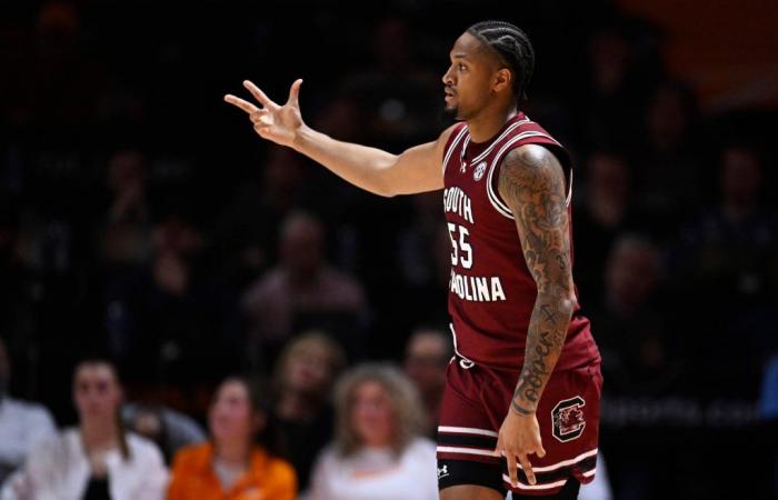 Oregon vs. South Carolina expert picks: Spread, odds, projections for NCAA Tournament first round game
