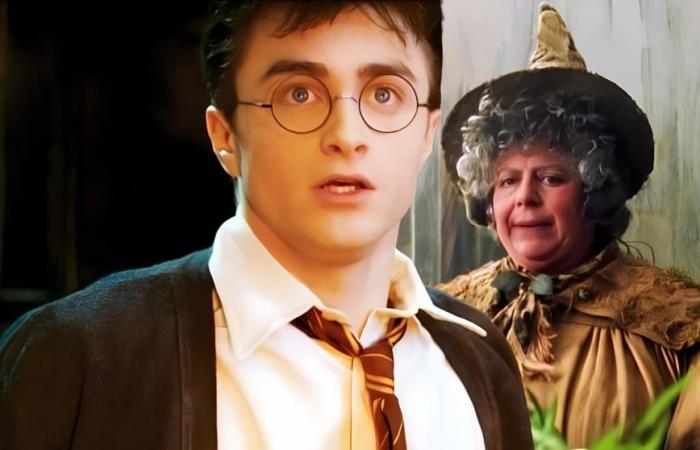 Actress once again CRITICIZES adult fans of ‘Harry Potter’: “It’s time to grow up”