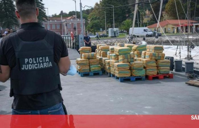“There is an increase in violence linked to drug trafficking in Portugal” – Portugal