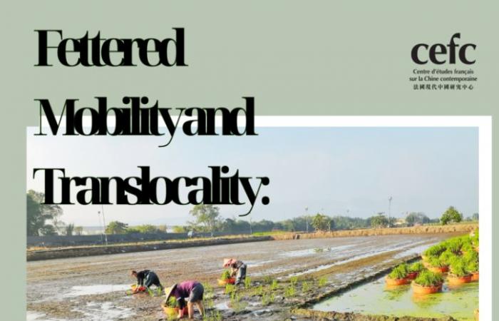 Fettered Mobility and Translocality: Irregular Migrant Farm Workers in Taiwan
