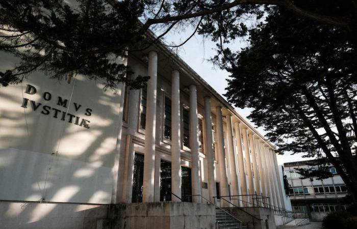 Suspended sentence for firefighter who caused an accident with two deaths in Leiria