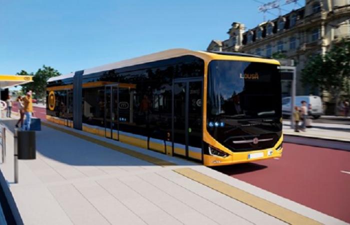 Metro Mondego with PT2030 funding for workshops and buses