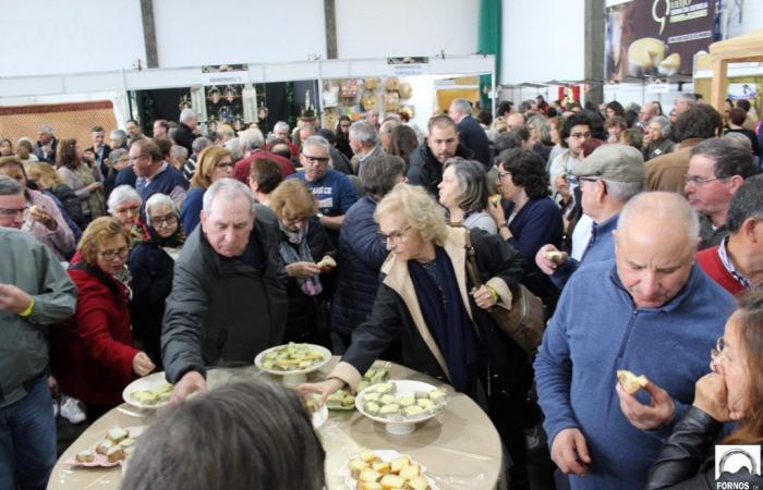 Fornos de Algodres holds the Serra da Estrela Cheese Fair this weekend