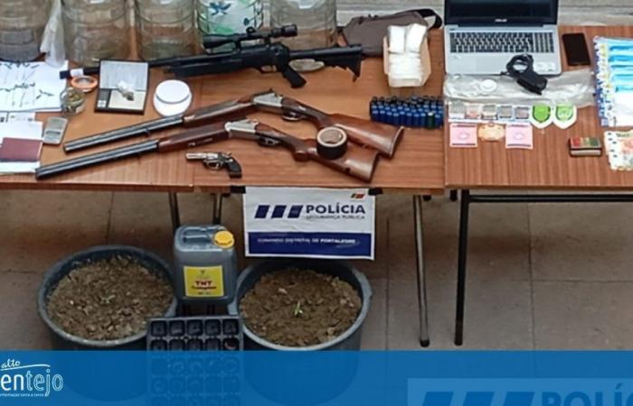 Two detained in PSP searches in Portalegre, Elvas and Torres Novas