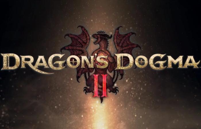 Dragon’s Dogma 2: Players plan to kill NPCs to improve FPS