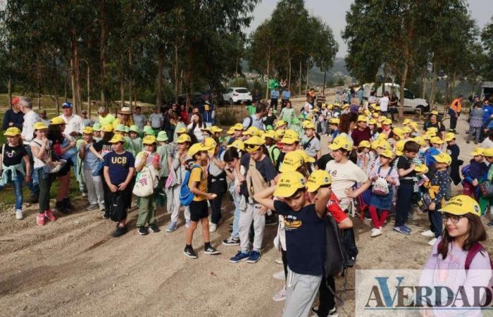 Children and elderly people planted 500 trees in Marco de Canaveses