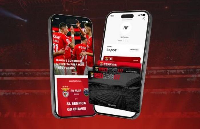 Benfica Launch New Official Club App