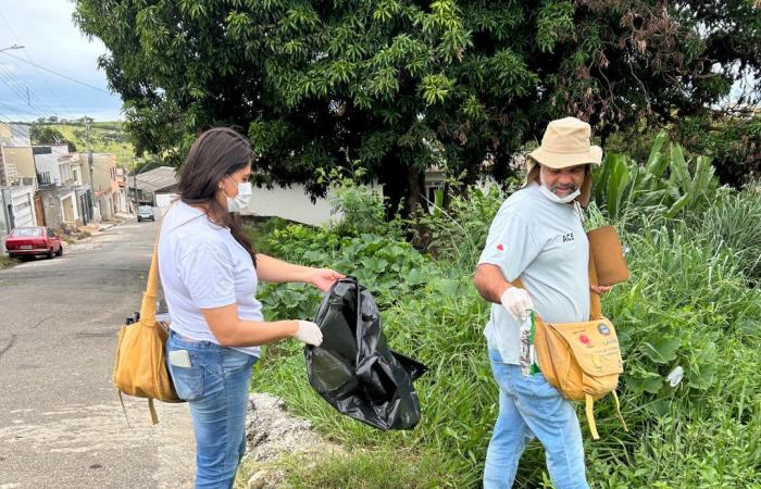 D-Day to Fight Mosquitoes: Cleaning effort mobilizes agents and residents