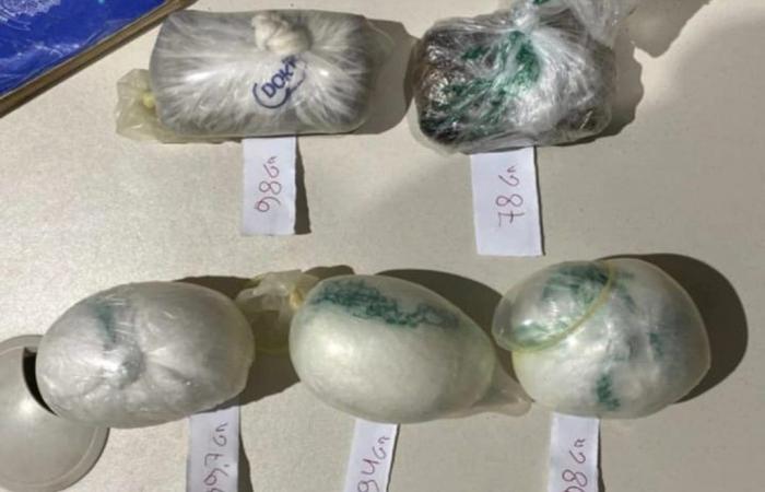 Man is arrested after disembarking in Fernando de Noronha with cocaine and hashish | Living Noronha