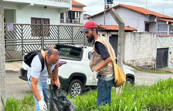 D-Day to Fight Mosquitoes: Cleaning effort mobilizes agents and residents