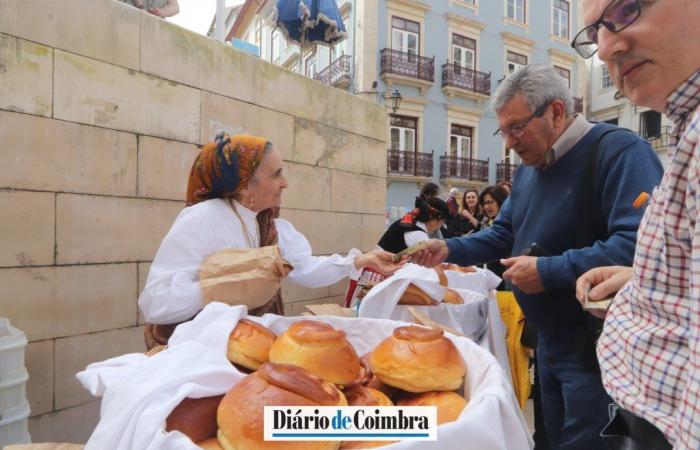 Arrufada Festival recreates ancestral tradition and livens up Baixa de Coimbra (with video and photo gallery)
