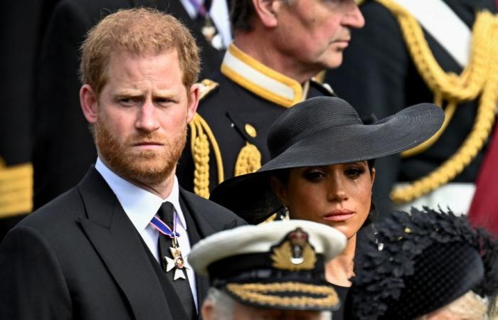 Meghan and Harry – They have “much more important matters to worry about” than the Royal Family