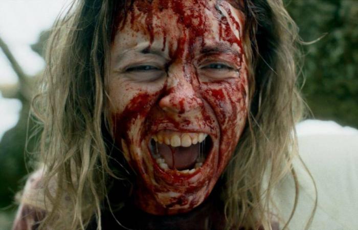 ‘Immaculate’: Religious horror with Sydney Sweeney breaks RECORD in US premiere
