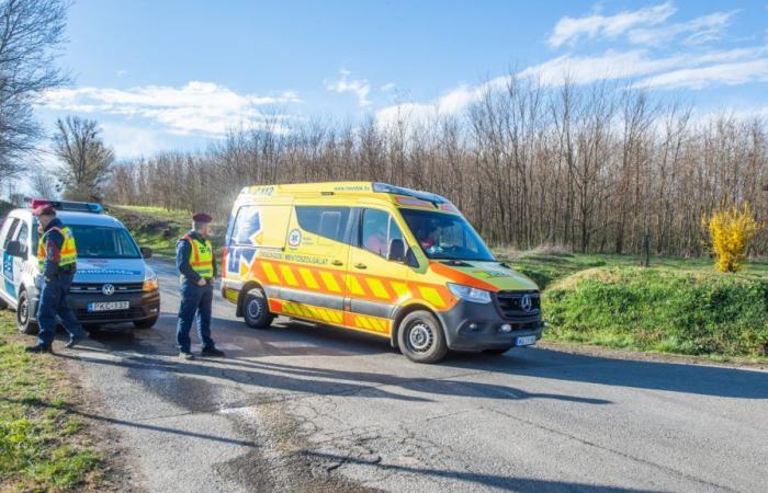 Tragedy in Hungary. Rally accident leaves four dead