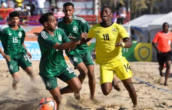 Mozambique wins silver at COSAFA – The Country